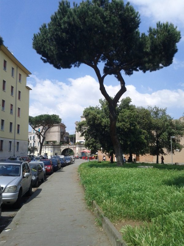 Garbatella 2013 (057)