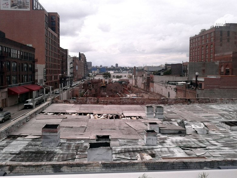 NYC High Line Sept 2012 Borghi (11)