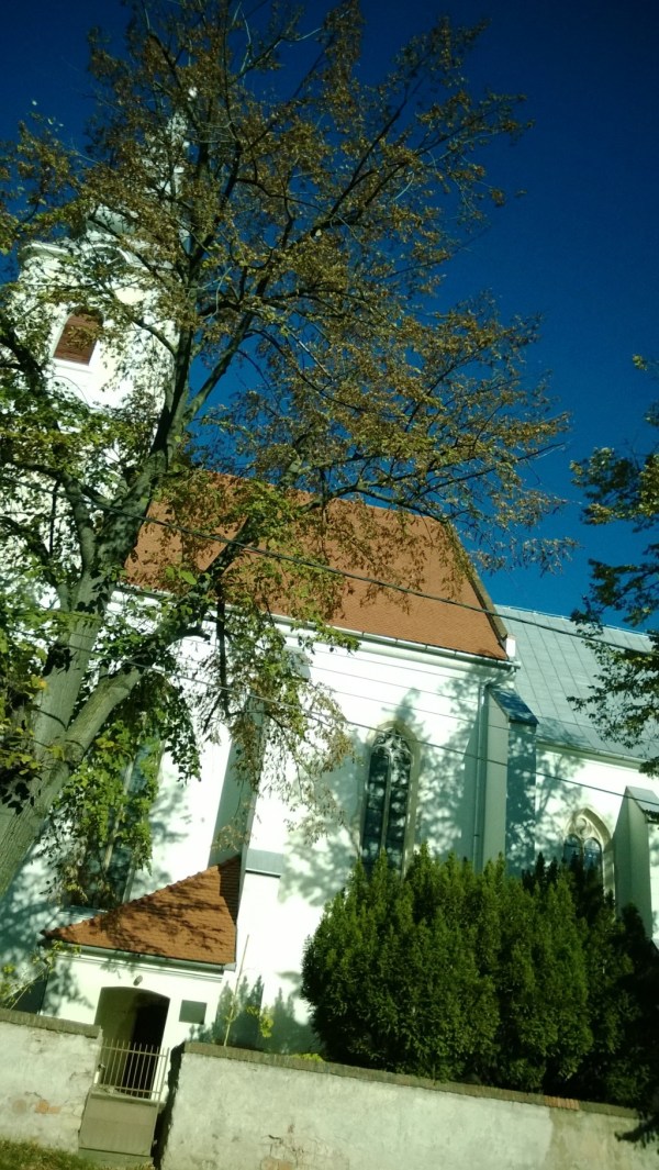 driving from cluj to oradea - october 2013 (36)