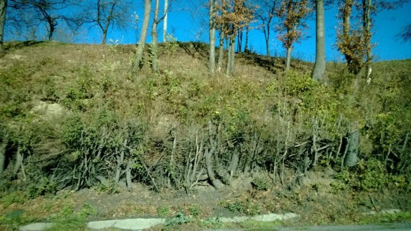 driving from cluj to oradea - october 2013 (58)