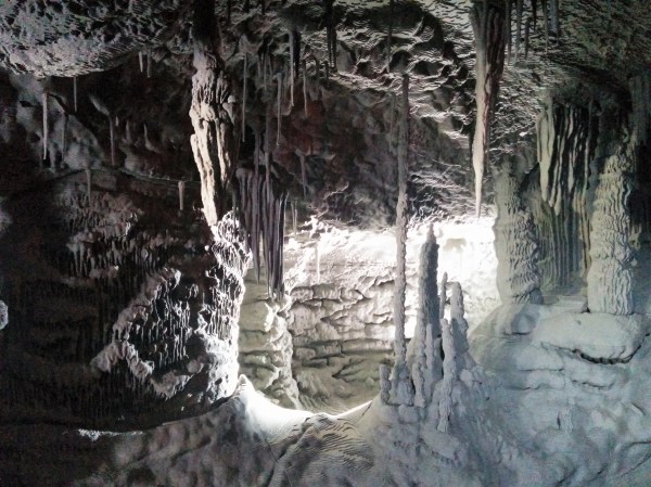 FondazionePrada_ABorghi 2015 (15)