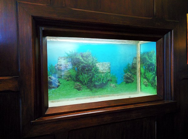 Mons_Jan2016 aborghi (31)